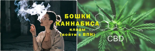 сатива Туринск