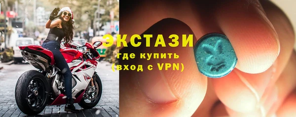 сатива Туринск