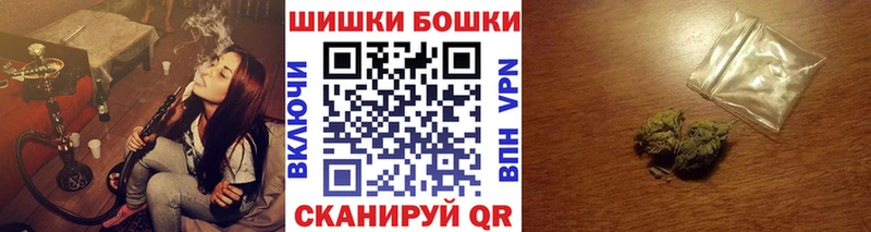 Каннабис OG Kush Афипский